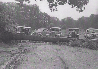 A black and white photograph shows a row of 1930s-era automobiles parked along what appears to be a rural dirt road, with trees framing the scene.