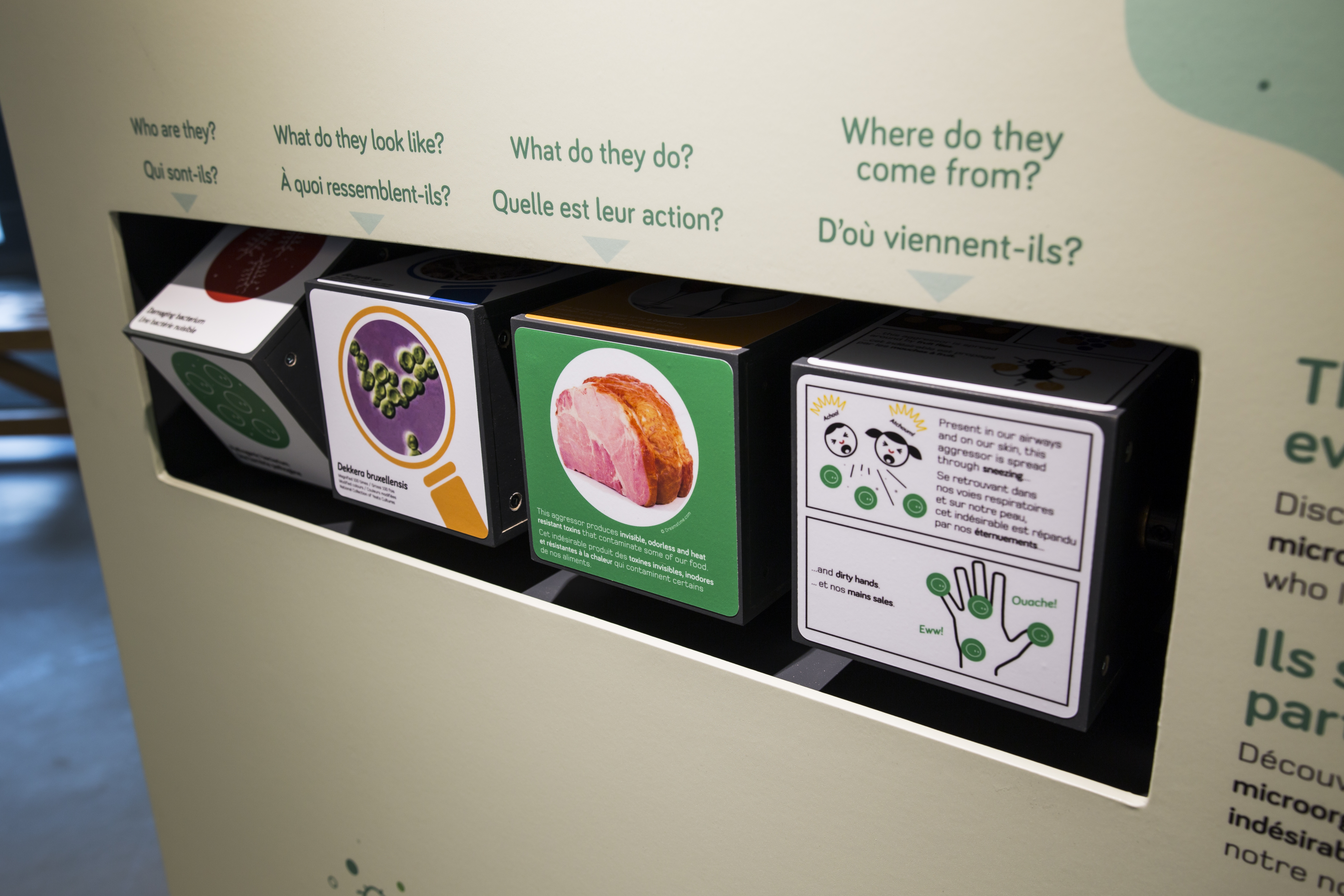 A Taste of Science exhibit