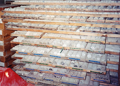 Well core samples at the Oil, Gas, and Salt Resources Library, in London, Ontario. The Petroleum Resources Laboratory was established in 1971 and renamed the OGSRL in 1997. The library is a not-for-profit resource centre for the study of the subsurface geology, petroleum, salt, and underground hydrocarbon storage resources of Ontario.