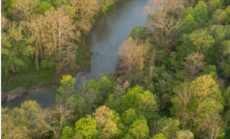 Birds eye view of a winding river in a forest.